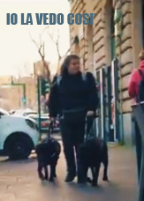 Premio Ambiente e Legalità