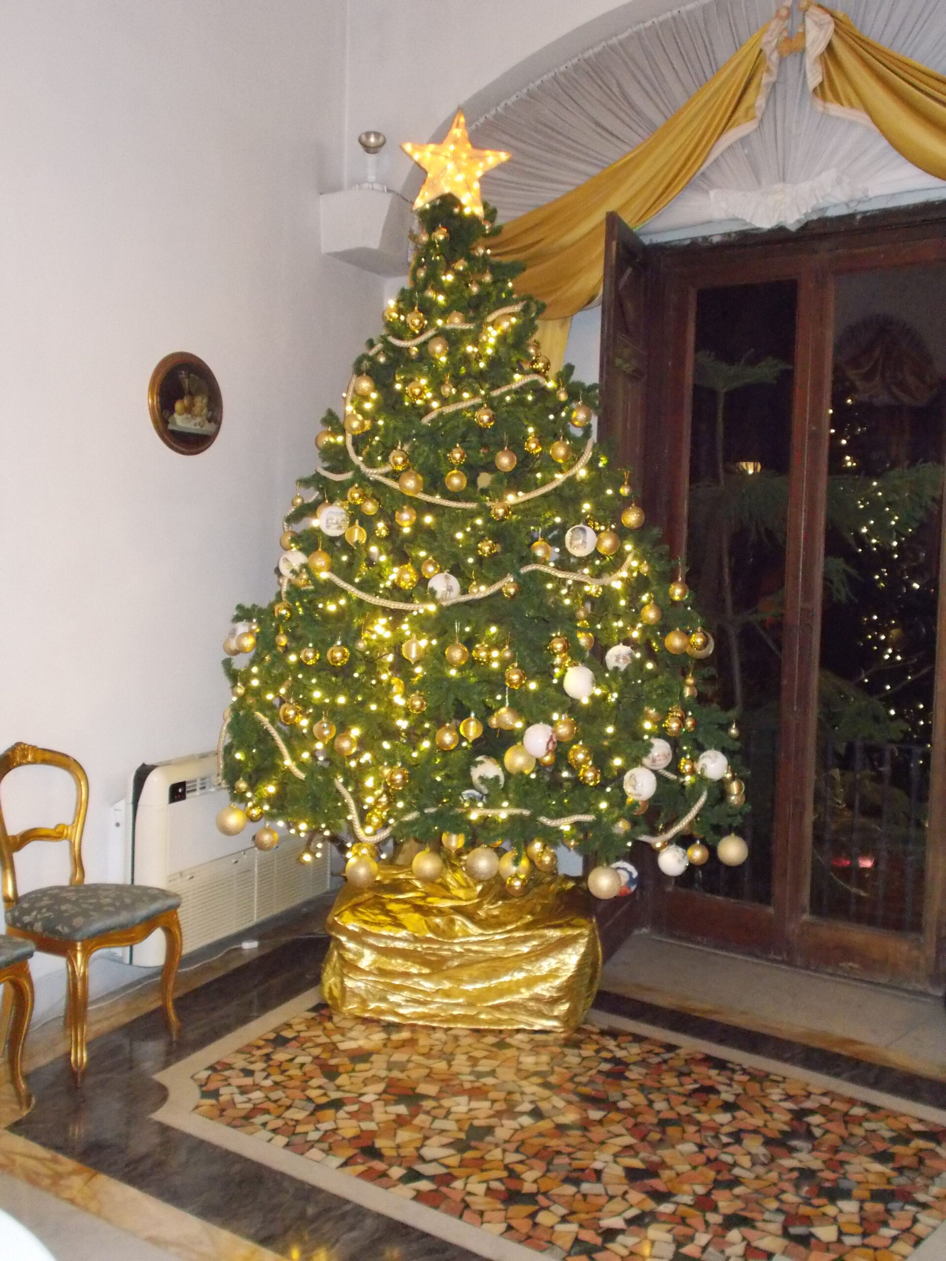 DSCN0038